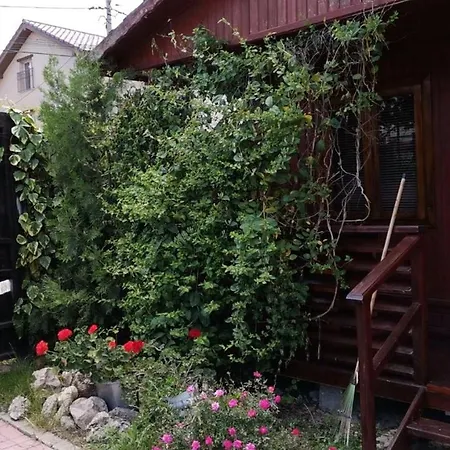Casa Cris Will * Navodari