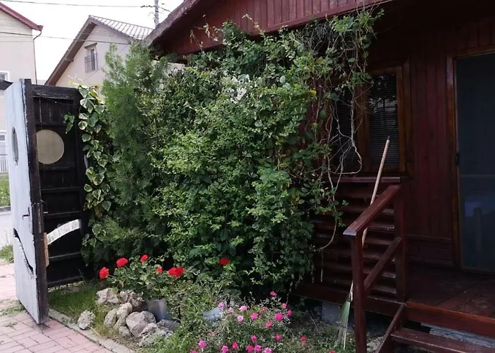 Casa Cris Will * Năvodari